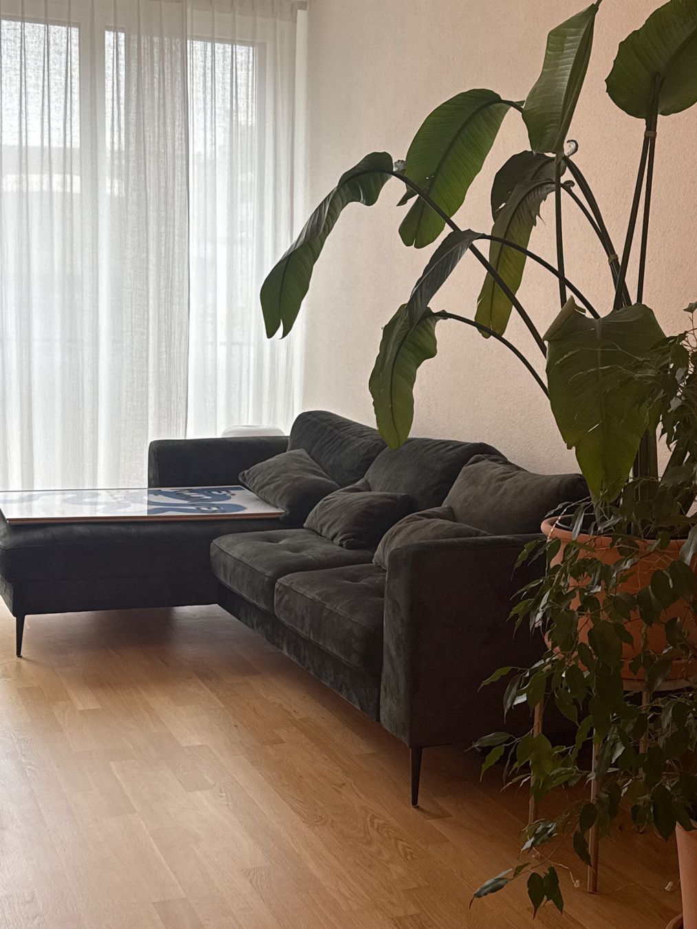Divani: Studio Copenhagen Ecksofa GAILLON mit Longchair – Nuovo (secondo la descrizione) da Olten venduto da flosflomarkt 6