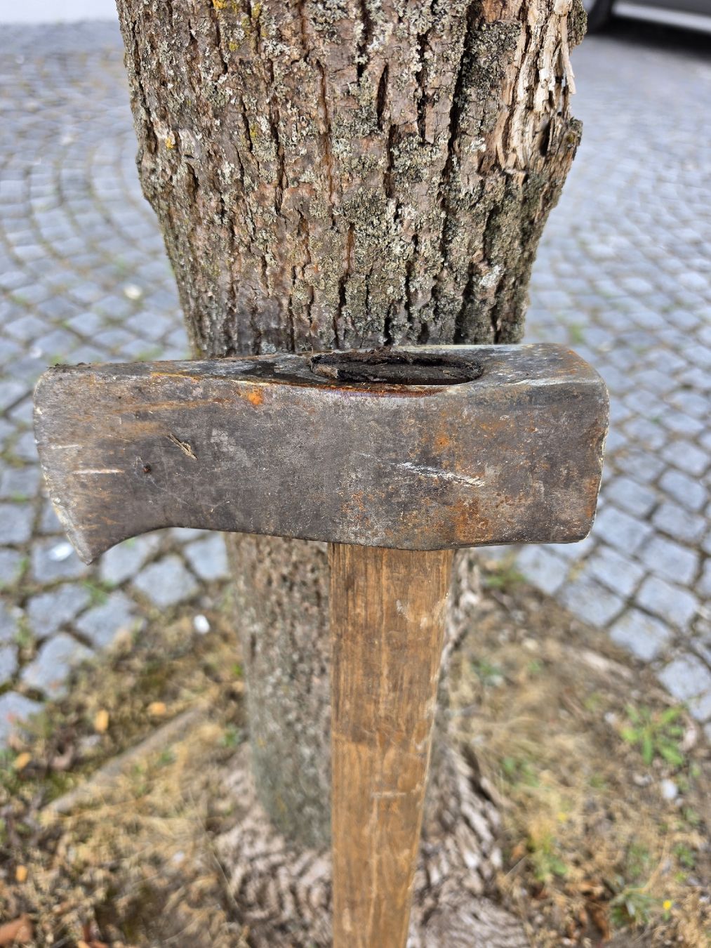 Tutti gli attrezzi: Beil mit Holzstiel gebraucht – Usato da Mettlen venduto da elios0888 1