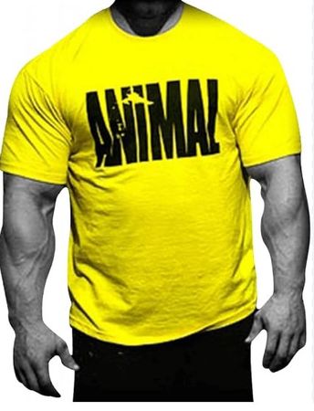 ORIGINAL UNIVERSAL NUTRITION ANIMAL T-Shirt "Iconic" NEU M