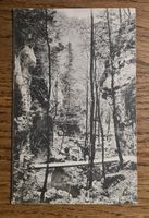 Kellerfluh, Teufelsschlucht zw. Hägendorf u.Langenbruck 1920
