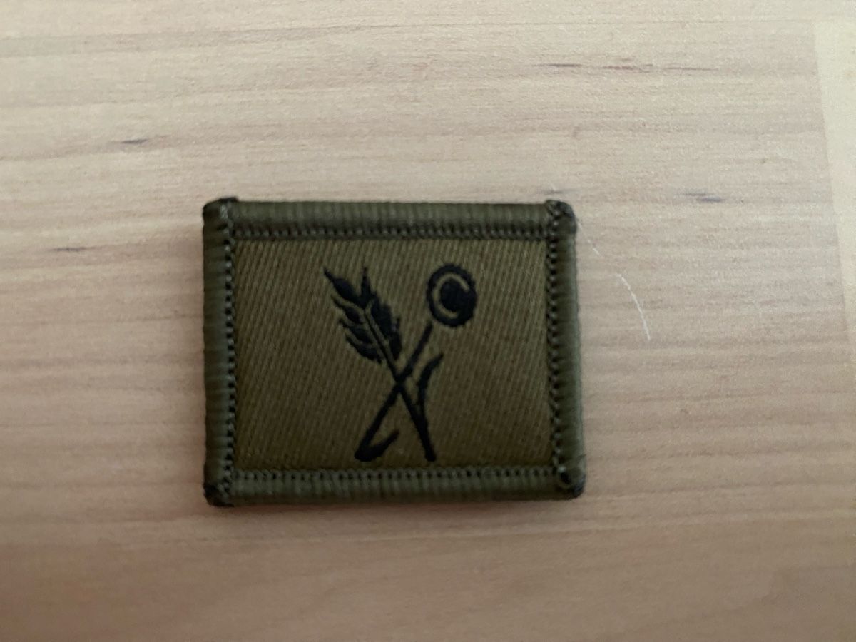 Schweizer Armee Placchette & Badge: Truppenkoch Schweizerarmee Abzeichen – Nuovo (secondo la descrizione) da Arbon venduto da arminnnn 1