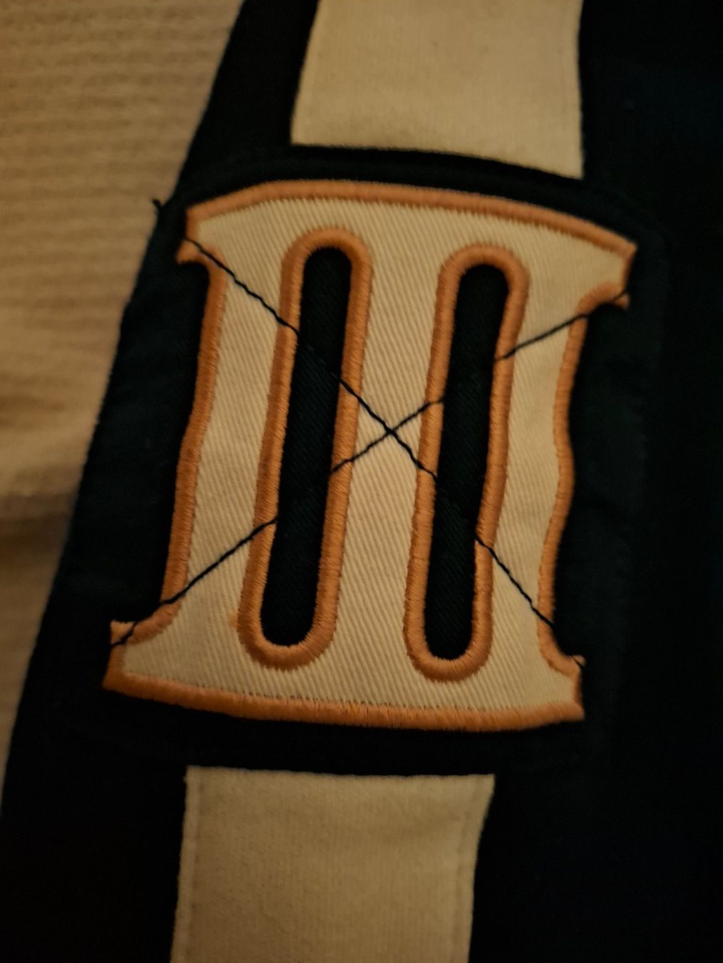 Ralph Lauren Giacche: POLO RALPH LAUREN Sweatjacke – Usato da Zürich venduto da zhch15 3