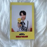 stray kids felix 2023 season's greetings benefit photocard