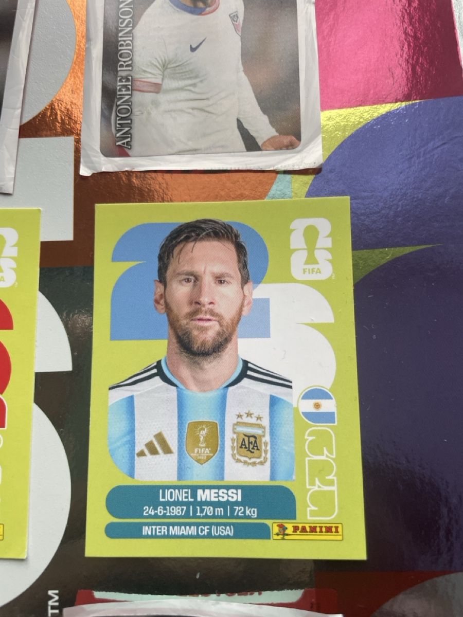 Panini Carte collezionabili: Panini – Usato da Wetzikon ZH venduto da Rasalingam 2