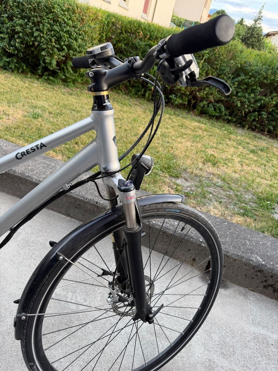 Cresta Vélos: Cresta ebike  – D'occasion à Trimmis par moh_2vns 6
