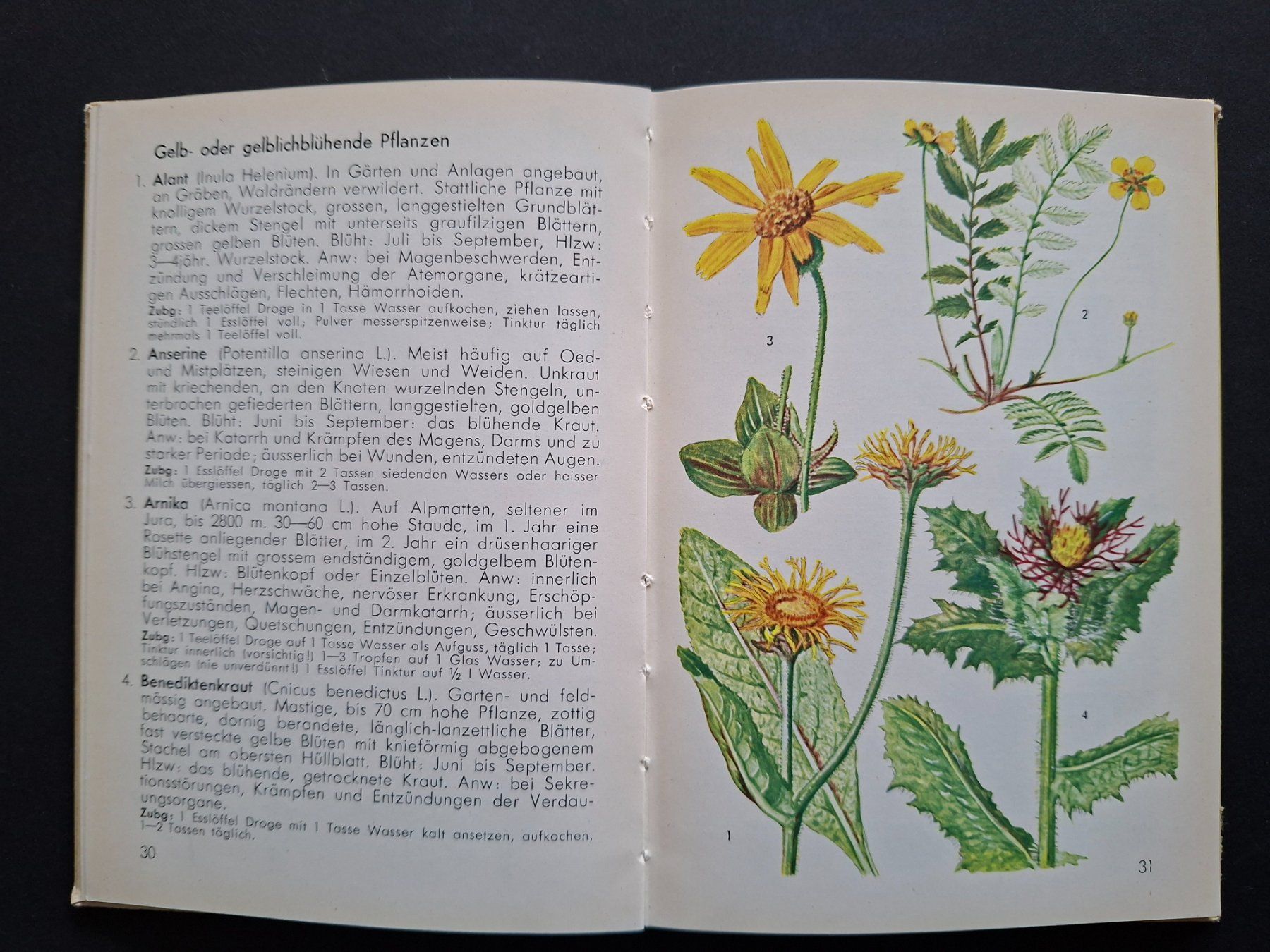 Bücher: Blumenbücher – Gebraucht aus Goldach von armando_r 6