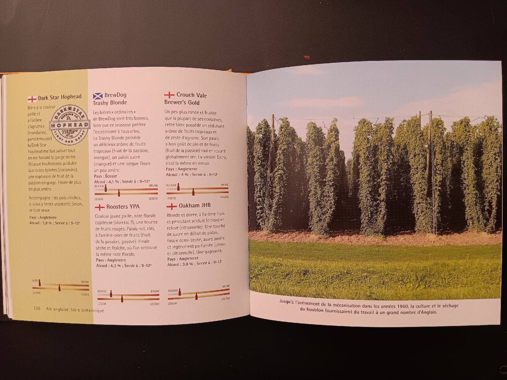 Libri: 500 bières Zak Avery – Usato da Lausanne venduto da Grabock 3
