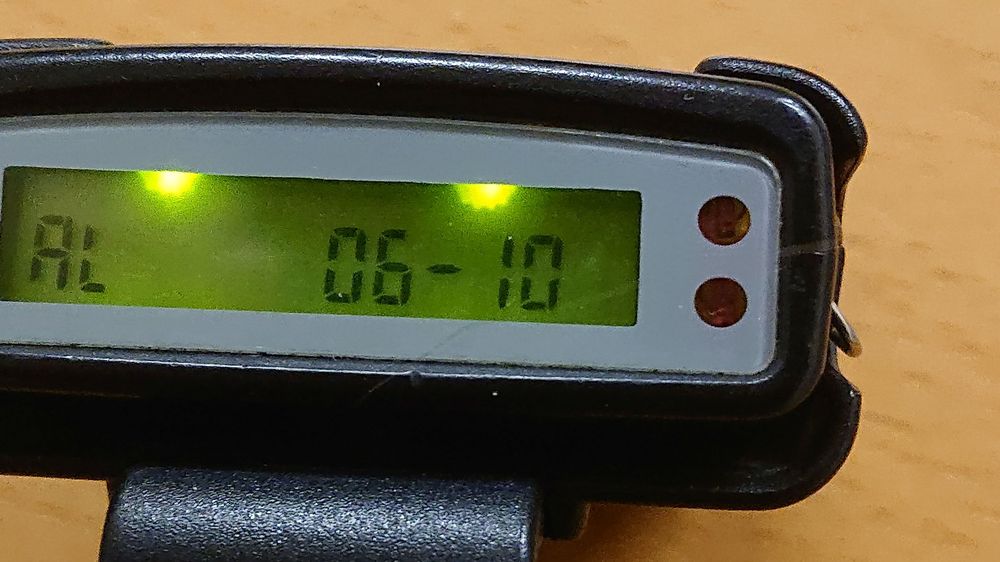 Pager Philips PRG 2140 Kaufen auf Ricardo