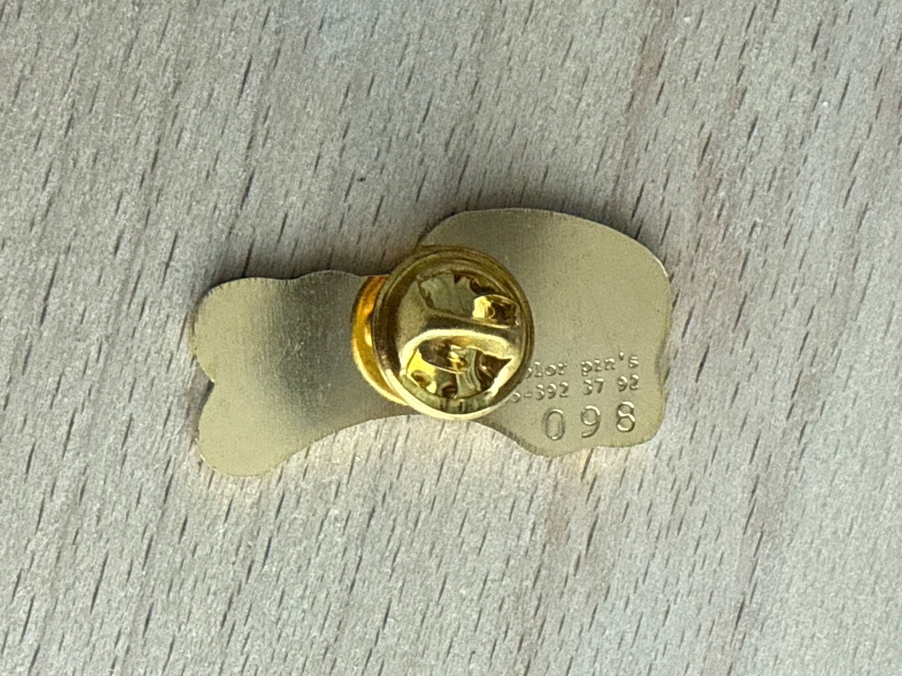 Placchette & Badge: Pin "Why Not?" – Usato da Glattbrugg venduto da Schweigmatt 1
