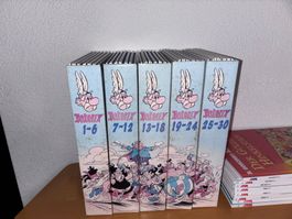 Asterix 1-30 Komplett + Band 31,33,35,37,39,40,41 Hardcover