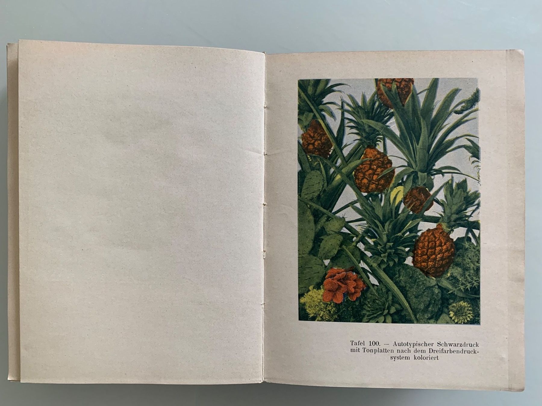 Libri: Die Illustrationsmethoden des Buchdruckes. – Usato da Basel venduto da SusaSandig 8