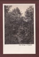 RUINE RADEGG in Wangental
