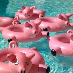 Piscine: Aufblasbarer  Schwein  Pool – Nuovo (secondo la descrizione) da Castagnola venduto da Cat-WomenX 3