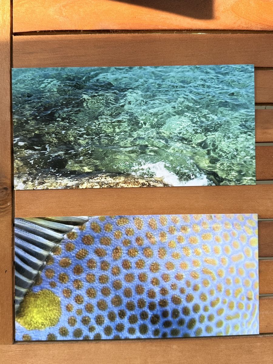 Cartoline: Fotokarten – Nuovo e nell'imballaggio originale da Riehen venduto da Claudia024