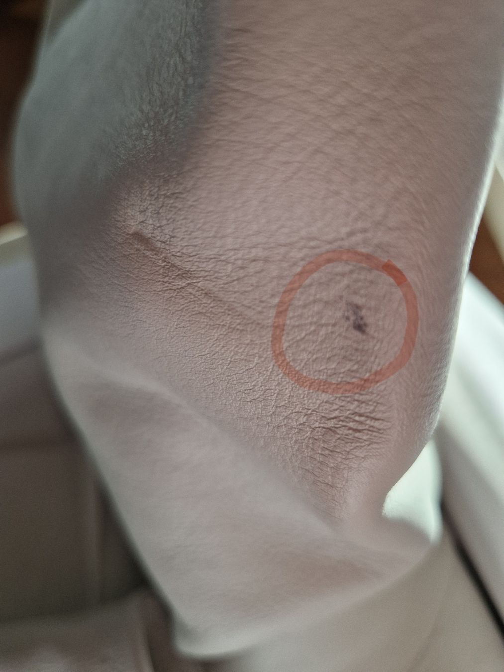 Chaussures femmes: Weisse Lederstiefel, Gr. 36 – Neuf (Voir description) à Zürich par stefanella 1