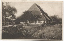 LANDWIRTSCHAFT/STROHDACHHAUS 1920 Rohrist Gländ? AG