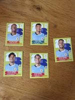 Panini 2026 5er Set URU