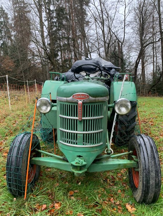 Traktor Kaufen auf Ricardo