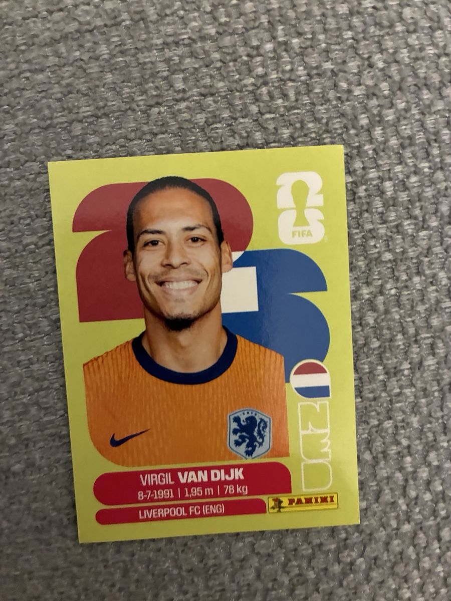Panini Carte collezionabili: Panini Sticker Virgil Van Dijk neuwertig – Nuovo (secondo la descrizione) da Stäfa venduto da greety1981