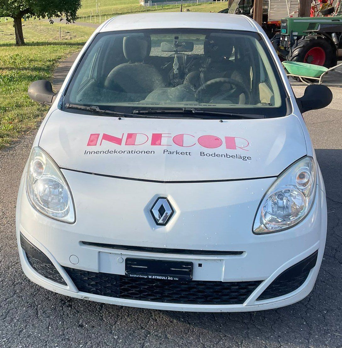 Renault Autos: Renault Twingo – D'occasion à Schübelbach par Stift5 1
