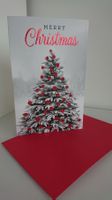 Besondere Weihnachtskarten (Doppelkarten und Kuverts)