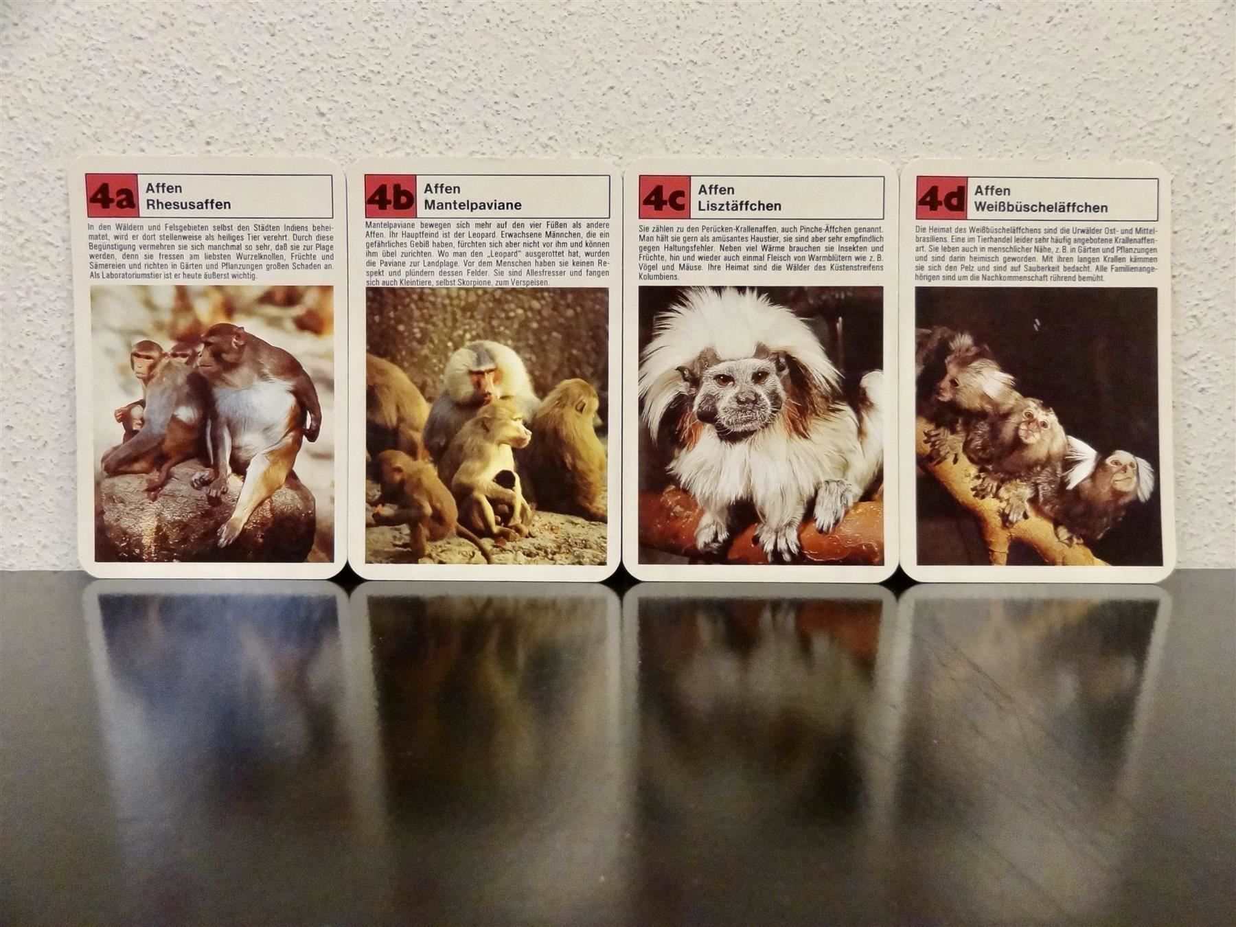 Spiele: Quartett TIER-QUARTETT ZOO-TIERE – Gebraucht aus Kerzers von wisaundso 6