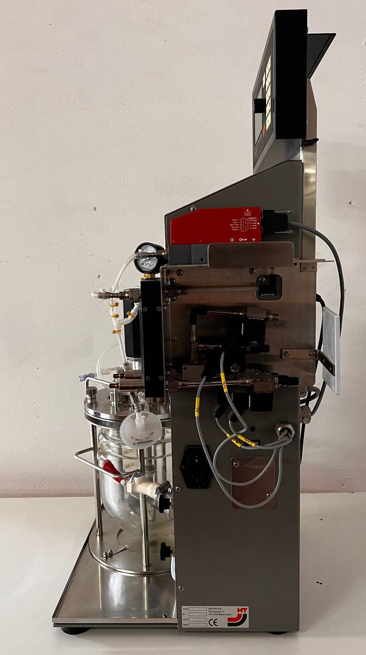 Tutte le macchine: Infors HT Labfors Bioreactor System 2.5L Vessel – Usato da Niederdorf venduto da LeptonAG_Labor 6