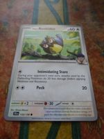 POKEMON  hop's Rookidee    I  JTG EN   133/159   HP60   2025