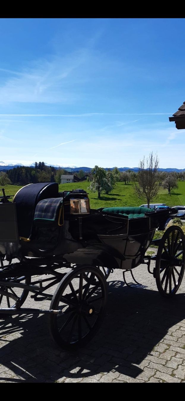 Carrozze: Pferdekutsche Kutsche Landauer – Usato da Mogelsberg venduto da Gregor6132 6