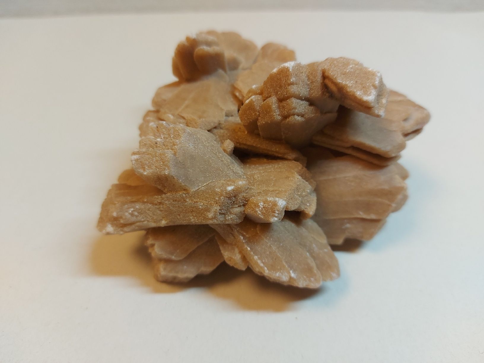 Mineralien & Heilsteine: Wüstenrose aus Tunesien – Gebraucht aus Bern von Bernaro 2