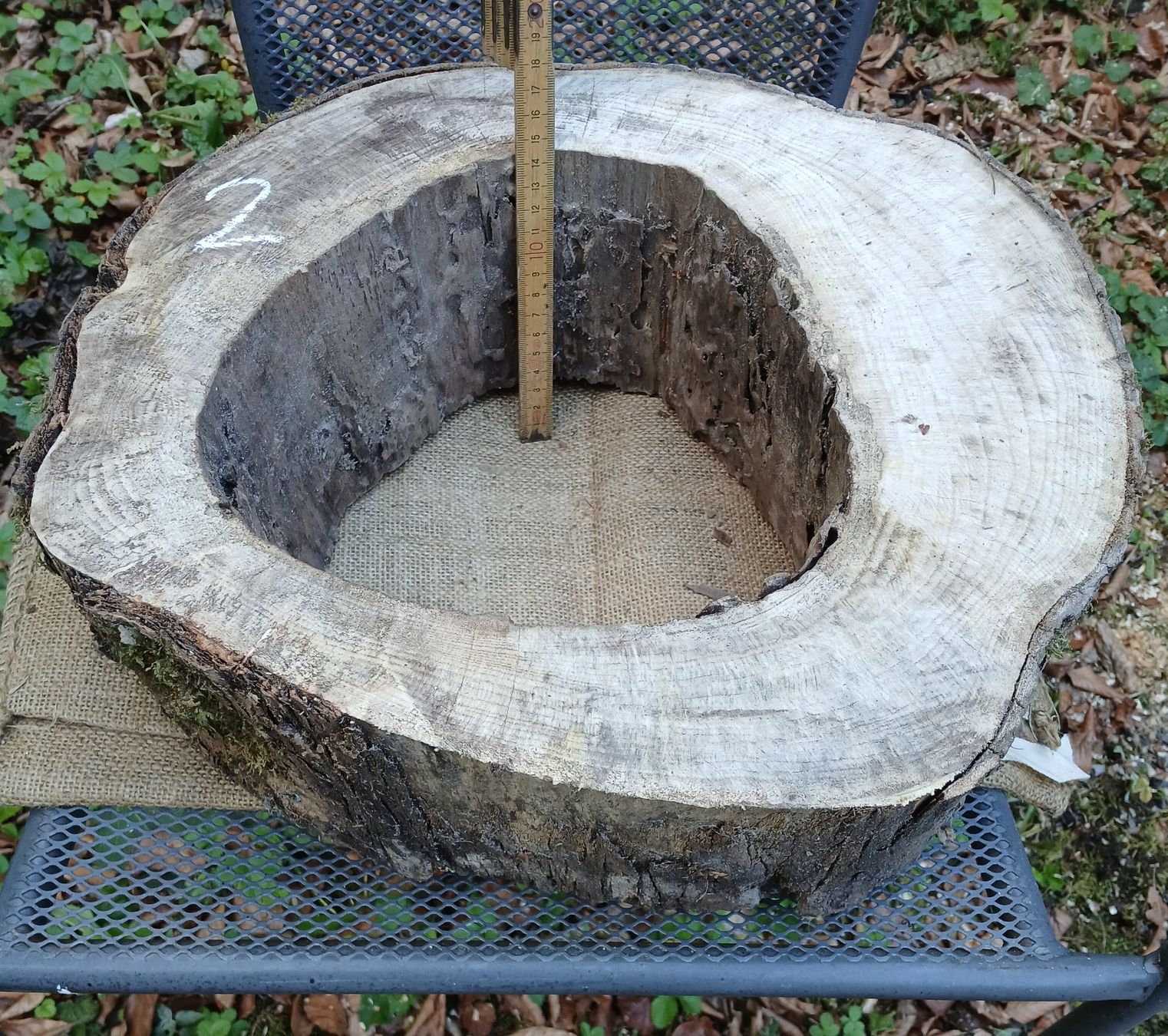 Holzartikel: Baumscheibe Natur hohl, roh >  B2 – Gebraucht aus Bilten von Archiv55 1