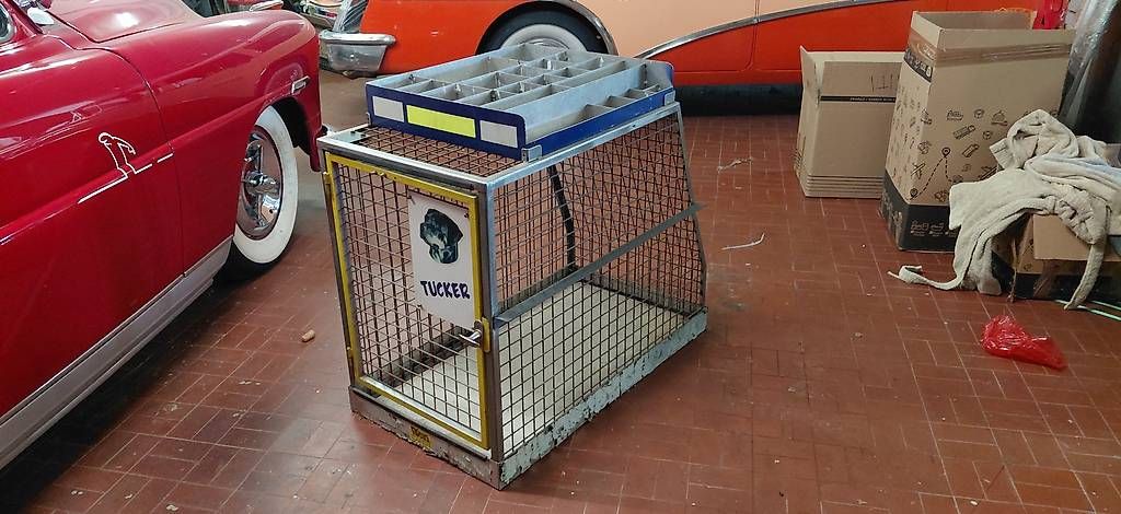 Cucce & Letti: Gabbia e Trasportino per cani – Usato da Lugaggia venduto da mic_8z7h 1