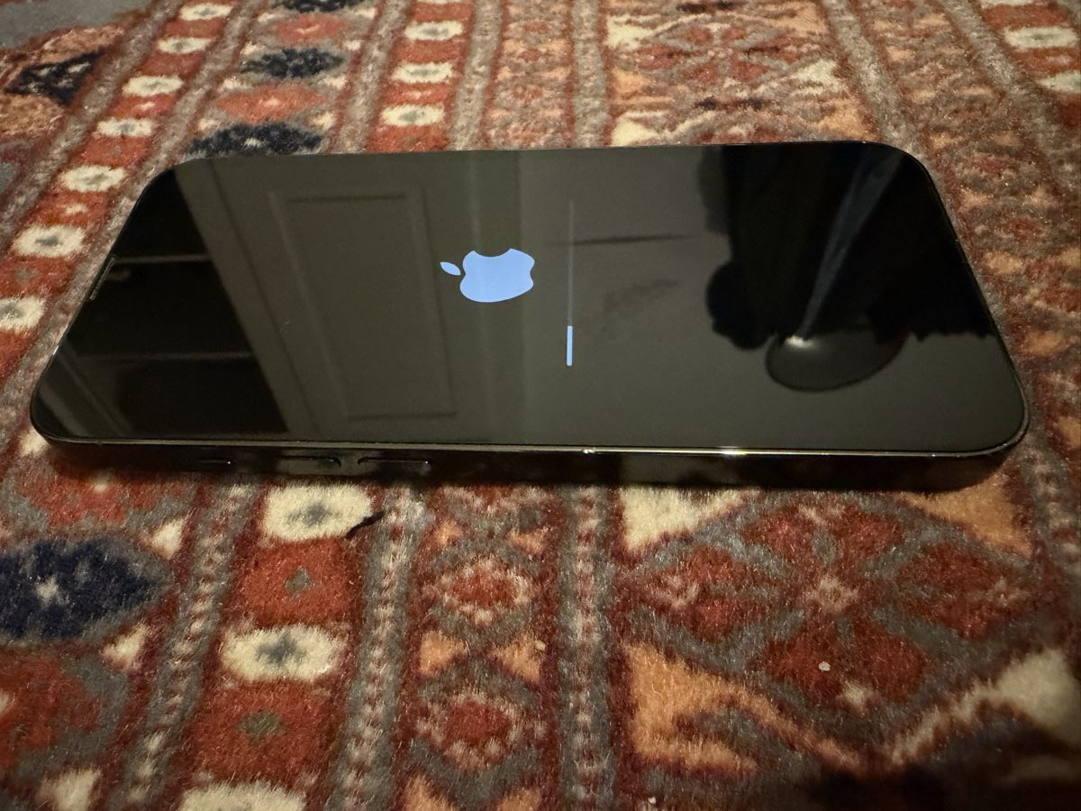 Apple Telefoni cellulari / Smartphones: iPhone 13 Pro 256GB Green – Usato da Zürich venduto da lauryy 3