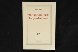 David McNeil - Quelques pas dans les pas d'un ange
