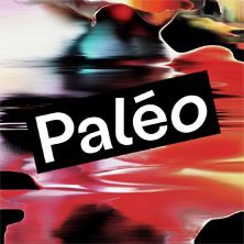 Biglietti: Billet Paléo festival 2026 dimanche – Nuovo e nell'imballaggio originale da Carouge GE venduto da Stomp