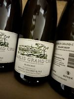 Chablis Grand Cru Blanchot 2020, Domaine Vocoret & Fils – 75