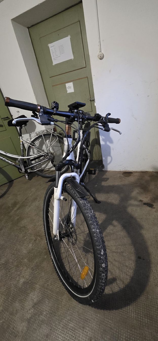 Biciclette: ZENITH Velo – Difettoso da Solothurn venduto da mar_8qf8 1