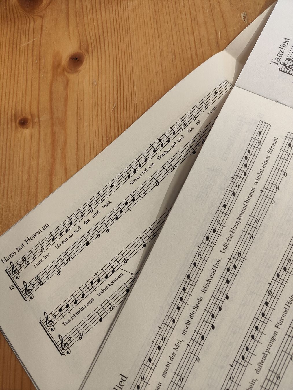 Libri: Noten die Kinderflöte für 1 oder 2 Flöten – Nuovo (secondo la descrizione) da Davos-Platz venduto da musikhauskollegger 4