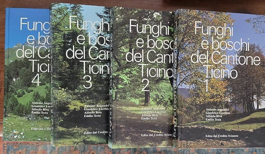 Libri: Collezione libri  – Usato da Bellinzona venduto da Be.Monte