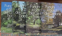 Collezione libri 