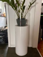 Pflanzensäule mit Glasaufsatz, Top Zustand, Modern! (53)