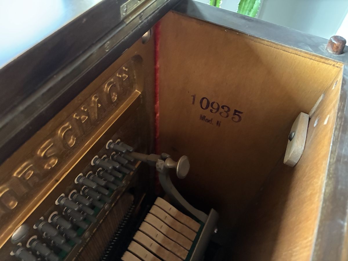 Strumenti musicali: Sabel Holz Klavier – Usato da Seeberg venduto da FlavioC01 3