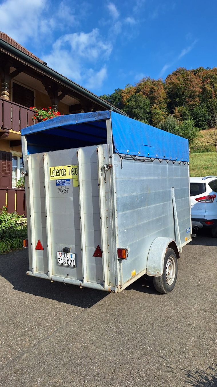 Daltec Anhänger: Viehtransporter – Gebraucht aus Gettnau von chochibleck 1