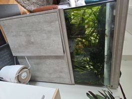 Aquarium mit Unterschrank