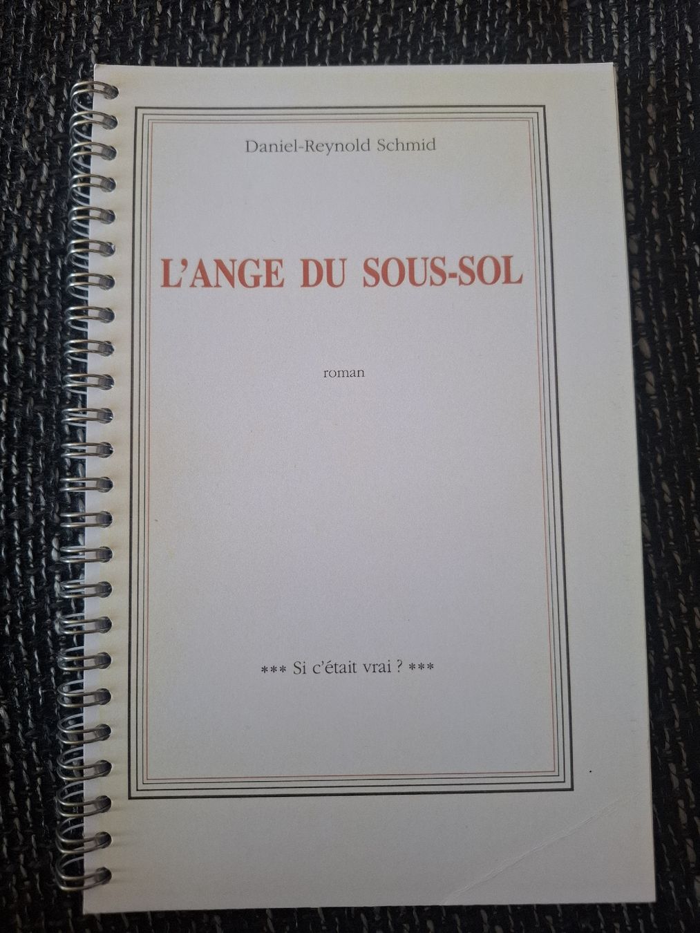 Libri: L'ange du sous-sol de Daniel-Reynold Schmid – Usato da Morges venduto da G33K43V3R