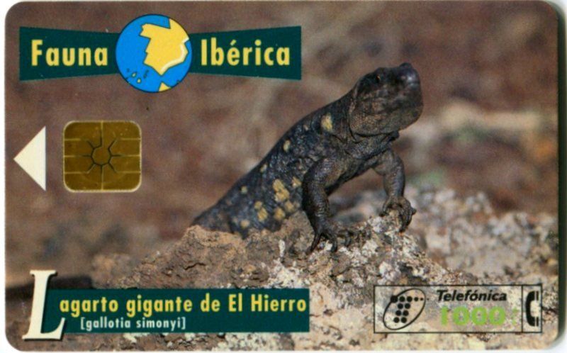 Schede telefoniche: Telefonkarte "Rieseneidechse". Spanien. – Usato da Basel venduto da Butsch5