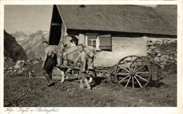 Alp-Idyll vom Säntisgebiet. Bauer mit Sohn und Ochsenkarren