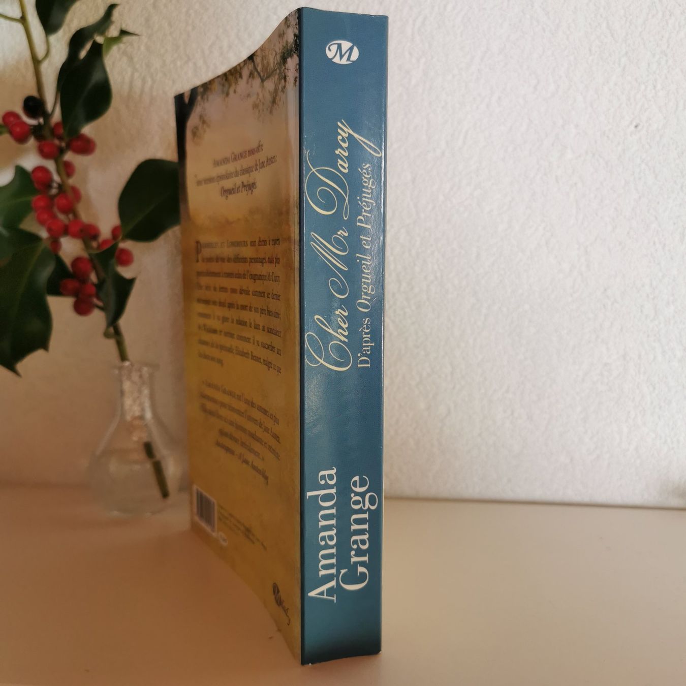 Libri: Cher Mr Darcy - Amanda Grange – Nuovo (secondo la descrizione) da Veytaux venduto da lelivreouvert 1