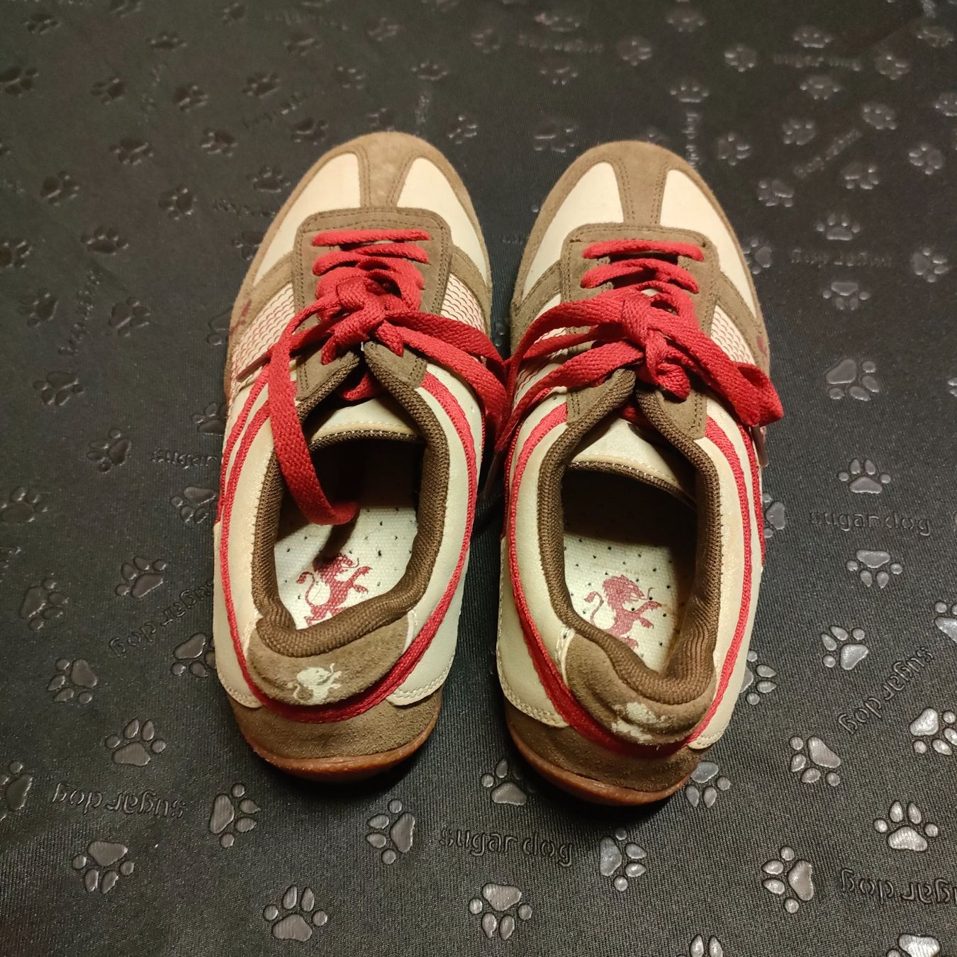 Scarpe da donna: Schuhe Gr.37 neuwertig! – Nuovo (secondo la descrizione) da Adelboden venduto da Lammhult 1