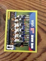 Panini USA 13
